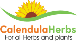 Calendula Herbs
